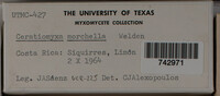 Image Associated With the Occurence